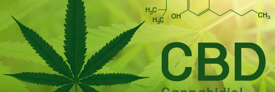 The Science Behind CBD: What is CBD and How Does it Work?